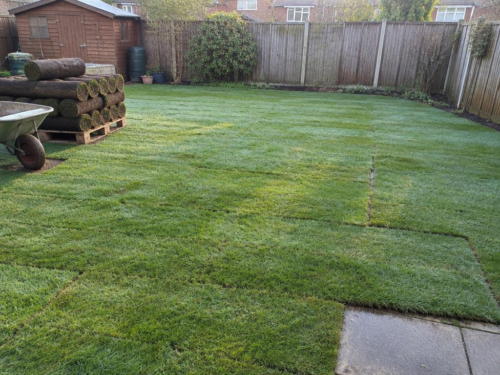 Turfing & Lawn Installation